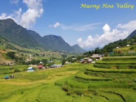 Muong Hoa Valley - Holiday Package